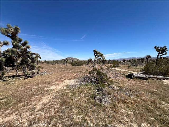 Yucca Valley, CA 92284,0 Paradise View