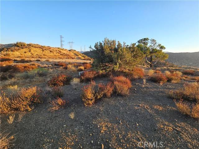 Palmdale, CA 93550,0 Angeles Forest