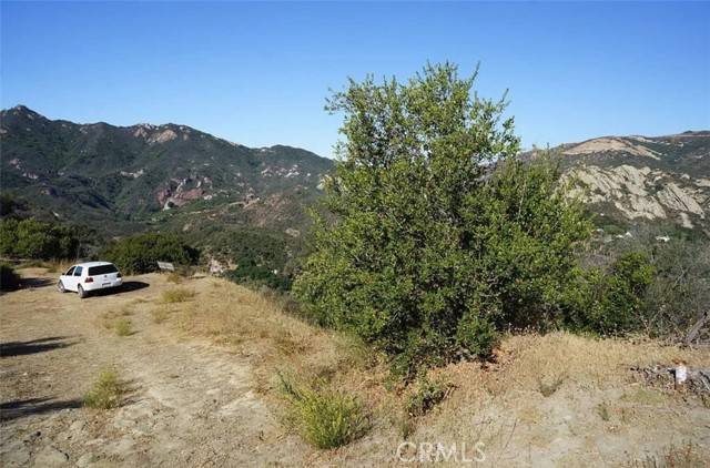 Topanga (los Angeles), CA 90290,1 Mount Prospect Dr.