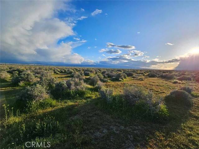 Rosamond, CA 93560,359 35931505005