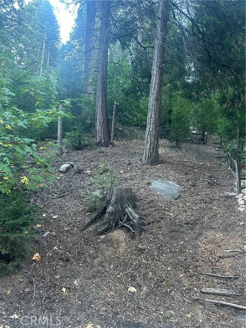 Crestline, CA 92325,0 Nesthorn Drive