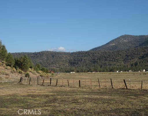 Big Bear City, CA 92314,2151 Erwin Ranch Road