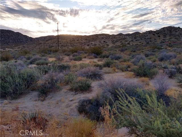 Morongo Valley, CA 92256,48584 Canyon House Road