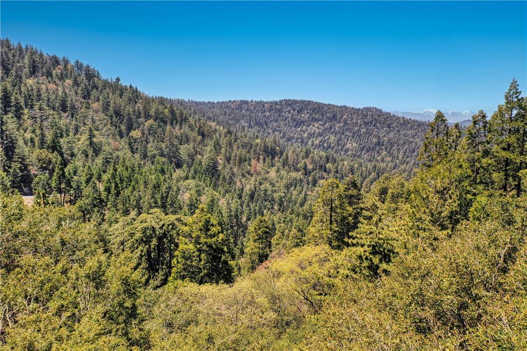 Crestline, CA 92325,63 Lot 63 Chateau Drive