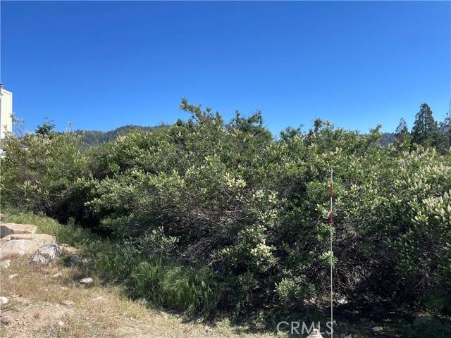 Cedar Glen, CA 92321,17 Lot 17 Lupin Way