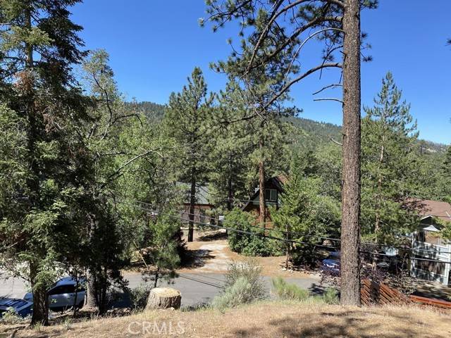 Big Bear Lake, CA 92315,43218 Sunset Drive