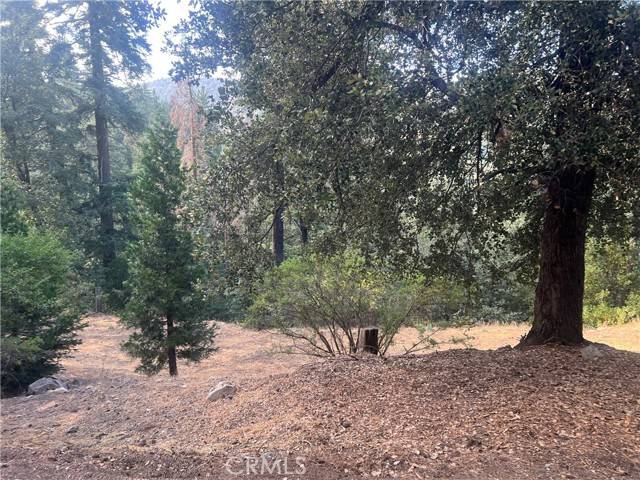 Cedarpines Park, CA 92322,0 Long Beach Avenue