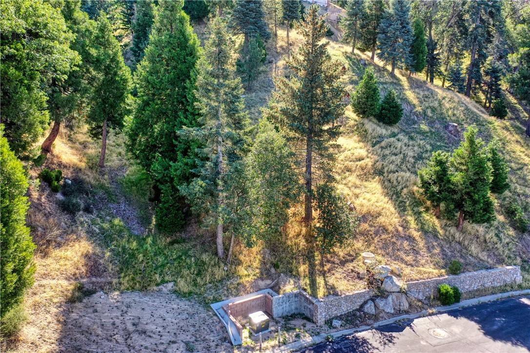 Lake Arrowhead, CA 92352,263 Hidden Forest Road