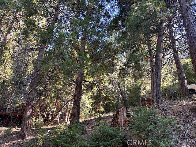 Cedar Glen, CA 92321,0 Alder Terrace