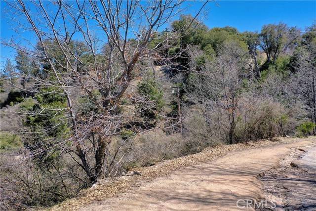 Cedar Glen, CA 92321,185 Lots 185 & 187 Acacia Road