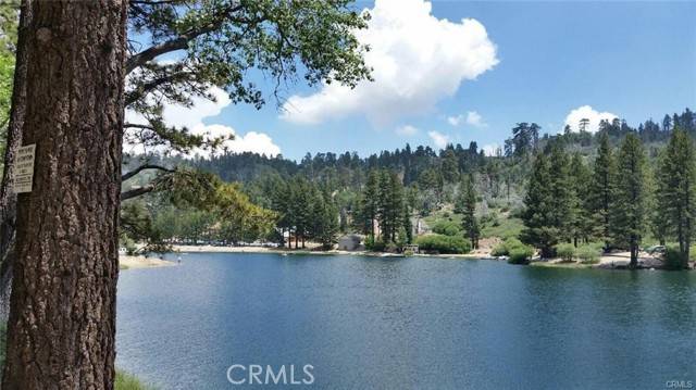 Green Valley Lake, CA 92341,33796 Cedar Pines Lane