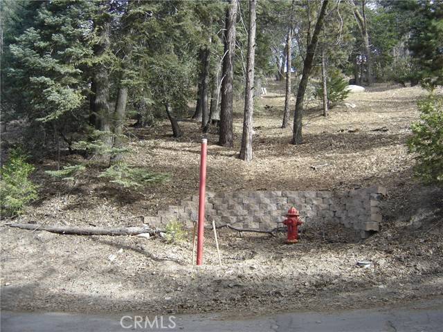 Twin Peaks, CA 92391,0 Pine Trail