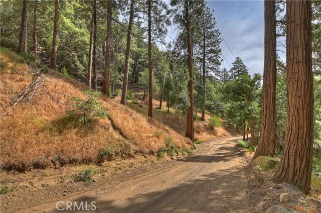 Cedarpines Park, CA 92322,110 Lots 110-123 Burnt Mill Canyon Road