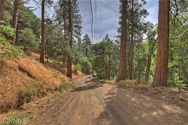 Cedarpines Park, CA 92322,110 Lots 110-123 Burnt Mill Canyon Road