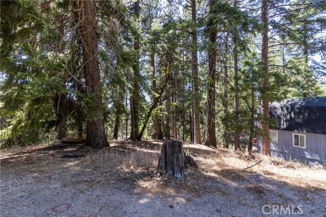 Running Springs, CA 92382,0 Ferndale