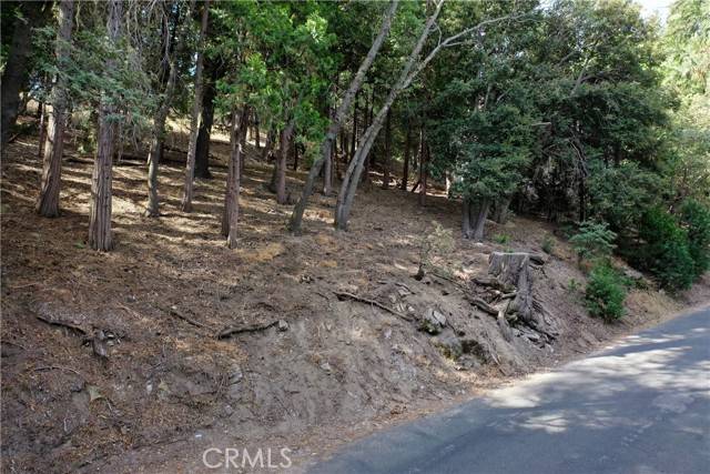 Crestline, CA 92325,127 Lot 127 Basel Drive