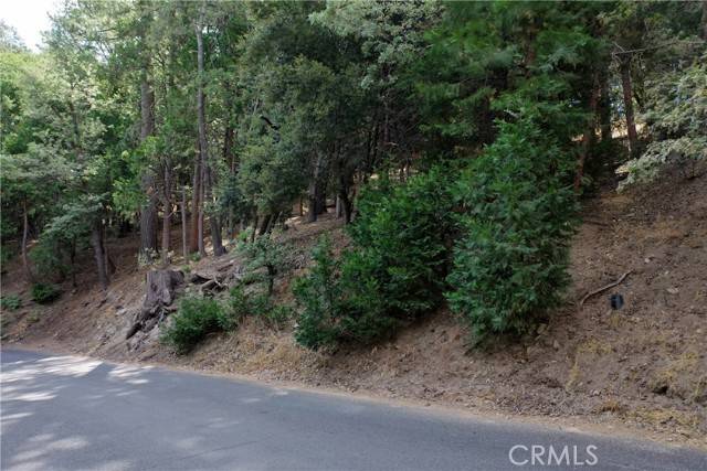 Crestline, CA 92325,127 Lot 127 Basel Drive