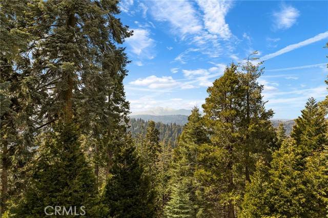 Lake Arrowhead, CA 92352,735 Oak Road