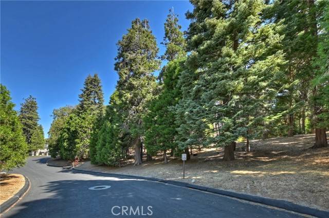 Lake Arrowhead, CA 92352,388 Cedar Ridge Drive