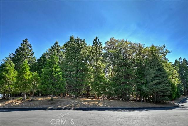 Lake Arrowhead, CA 92352,388 Cedar Ridge Drive