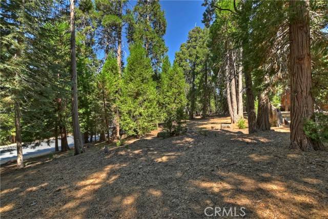 Lake Arrowhead, CA 92352,388 Cedar Ridge Drive