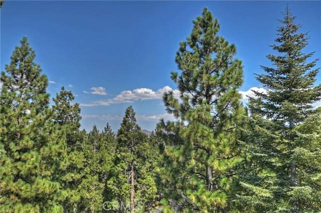 Lake Arrowhead, CA 92352,303 N Fairway Drive