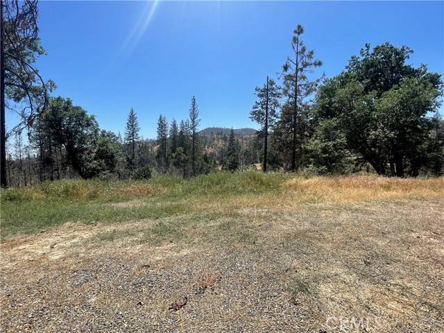 Mariposa, CA 95338,6264 Jerseydale Road