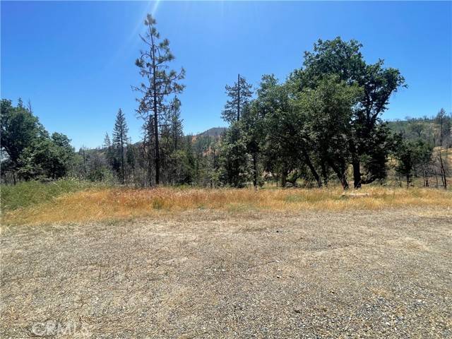 Mariposa, CA 95338,6264 Jerseydale Road