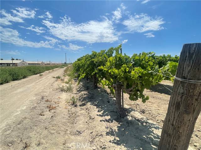 Kerman, CA 93630,1 S Plumas Avenue