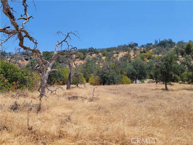 Squaw Valley, CA 93675,0 Clover Lane