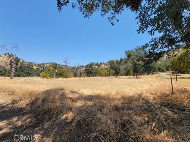 Squaw Valley, CA 93675,0 Clover Lane