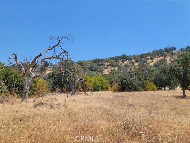 Squaw Valley, CA 93675,0 Clover Lane