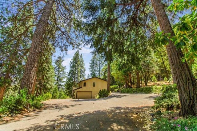 Pioneer, CA 95666,16200 Pinewood Drive