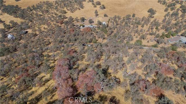 Squaw Valley, CA 93675,0 Cardinal Ln