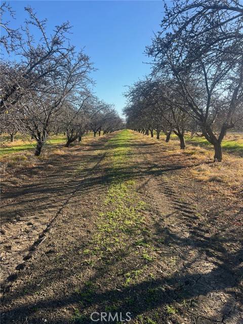 Firebaugh, CA 93622,1 American Avenue