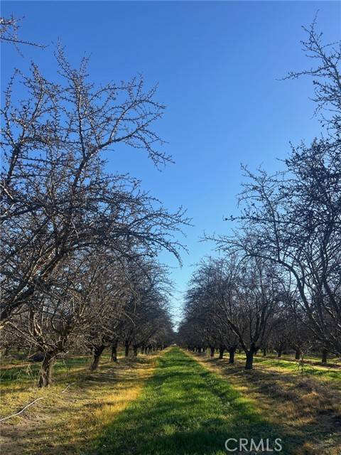 Firebaugh, CA 93622,1 American Avenue