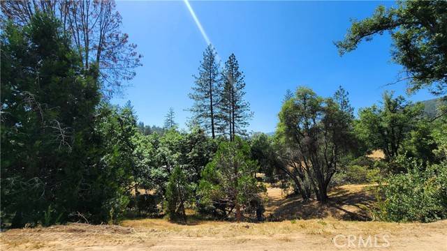 Wishon, CA 93669,55062 Oak Crest Court