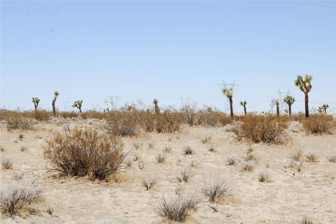 Phelan, CA 92371,0 Holly Road