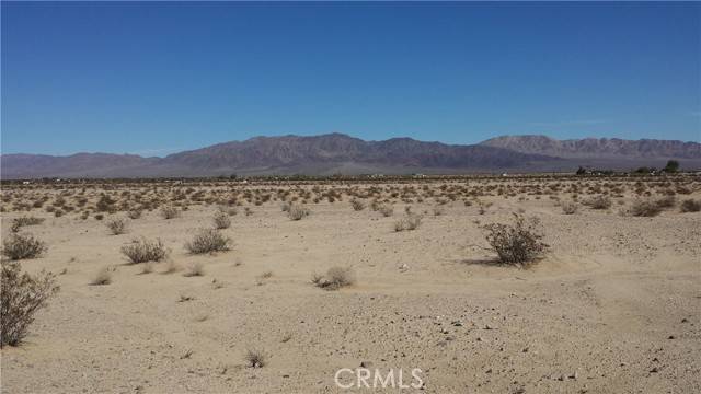 Twentynine Palms, CA 92277,Address not disclosed