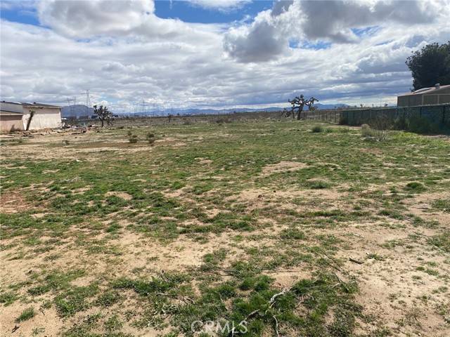 Adelanto, CA 92301,0 Bellflower Street