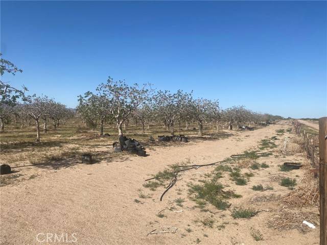 Newberry Springs, CA 92365,35500 Newberry Road