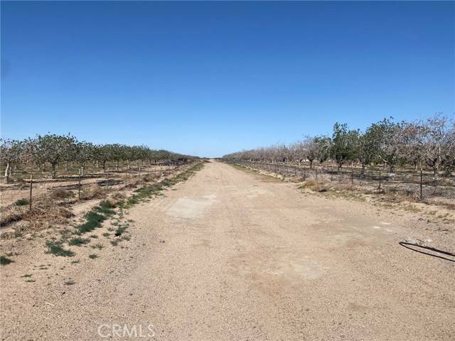 Newberry Springs, CA 92365,35500 Newberry Road