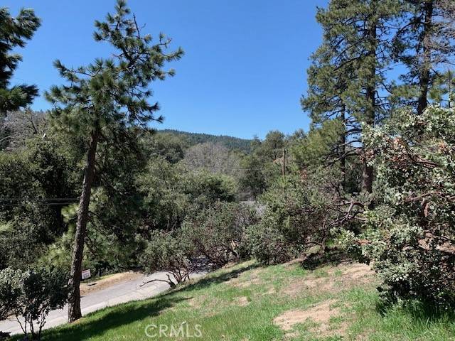 Crestline, CA 92325,0 Arth Drive