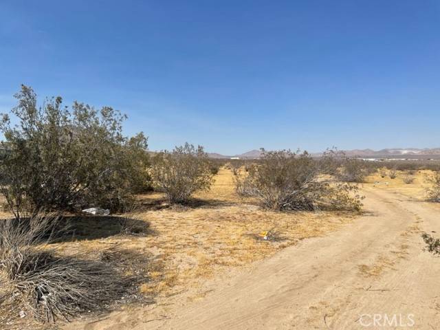 Apple Valley, CA 92307,0 Waalew Road