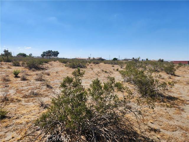 Phelan, CA 92371,2 Monte Vista Road