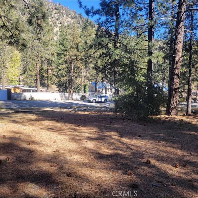 Wrightwood, CA 92397,0 Ross