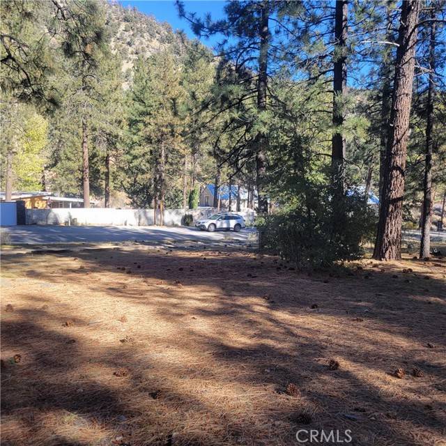 Wrightwood, CA 92397,0 Ross