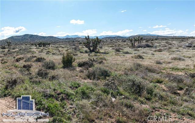 Phelan, CA 92371,3 Cygnet