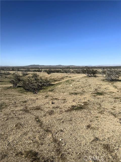 Helendale, CA 92342,0 S Panamint Trail