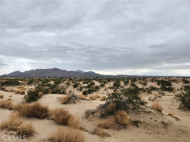 Newberry Springs, CA 92356,40 on Yearling Road